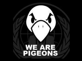 mouvement_des_pigeons_france_startup